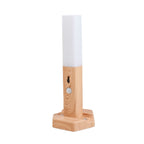 SmartSense Wooden Motion LED Night Lamp